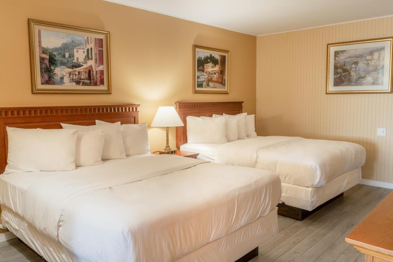 מאטנה Hotel Motel La Vigie מראה חיצוני תמונה